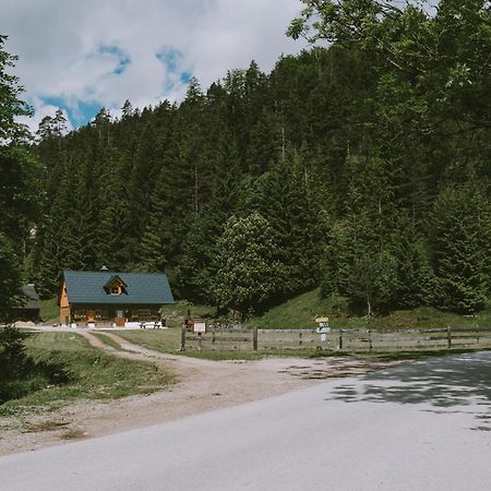 Naturparkresort S'Keuscherl Wildalpen Ngoại thất bức ảnh